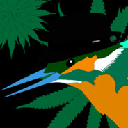 »Mr.Kingfisher«'s profile