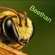 Beethan's profile
